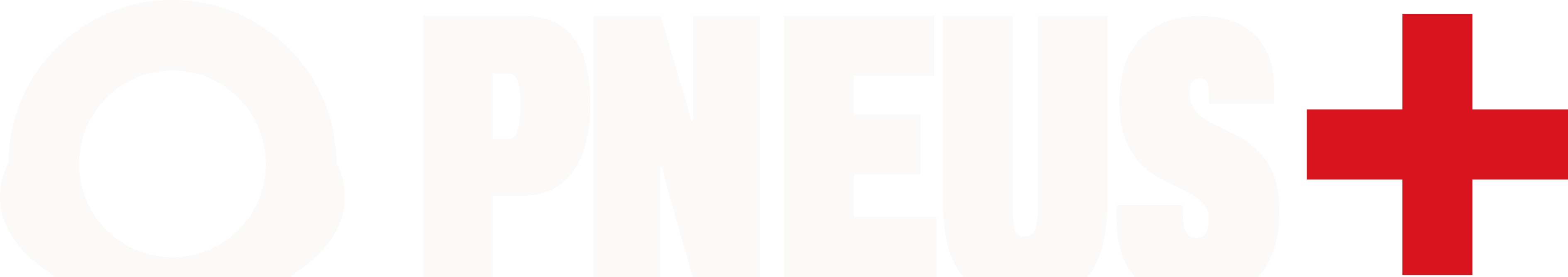 Pneus+ Sud
